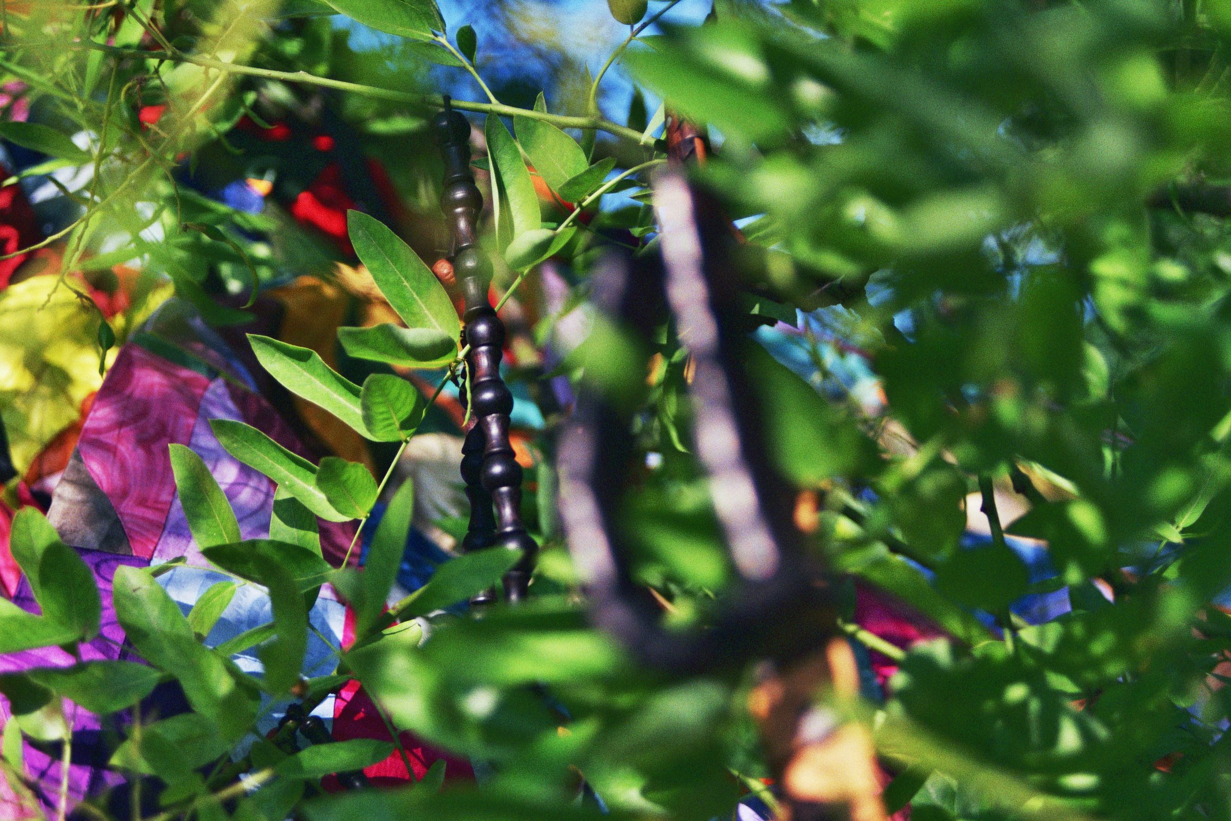 Graphothek Berlin - A1757